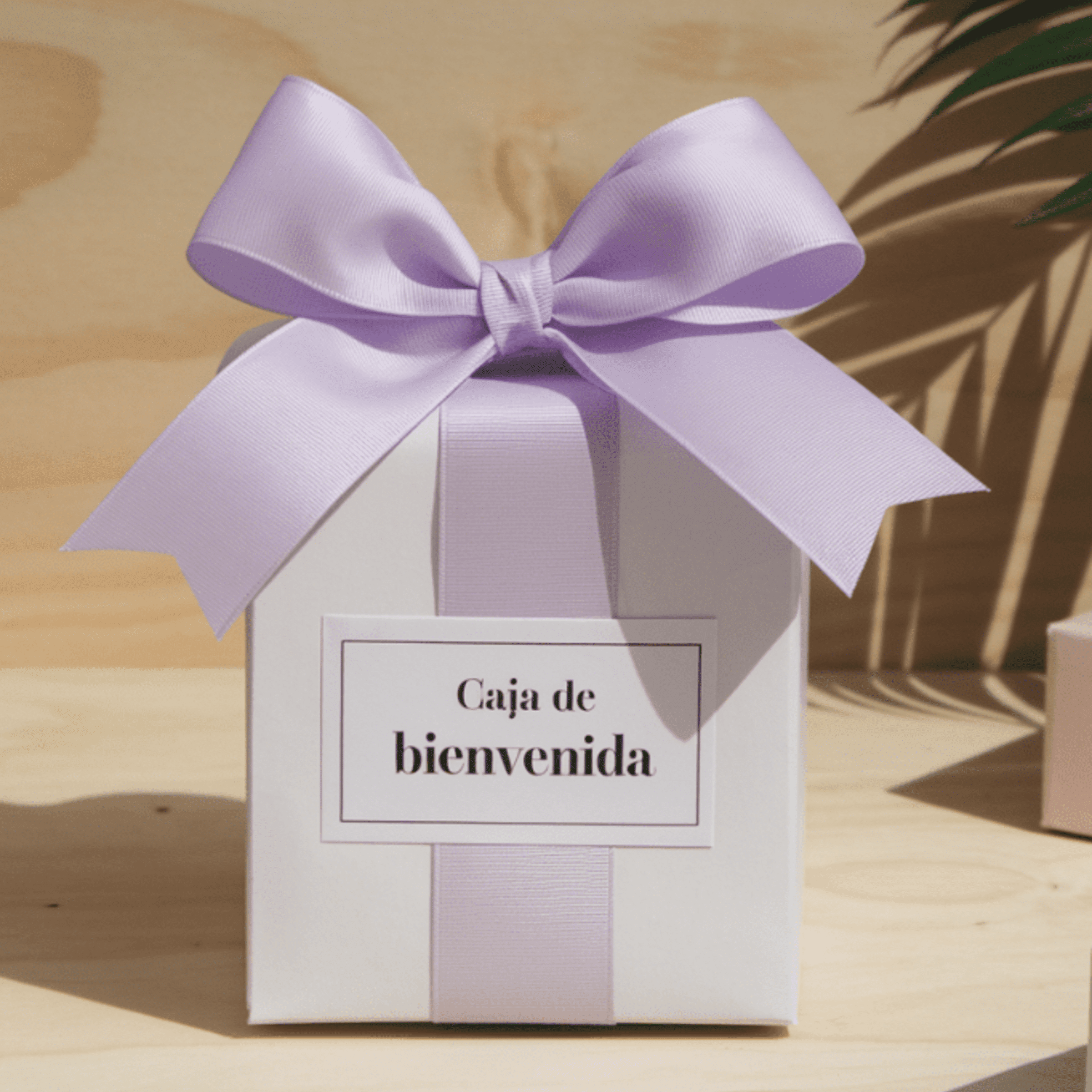CAJA DE BIENVENIDA